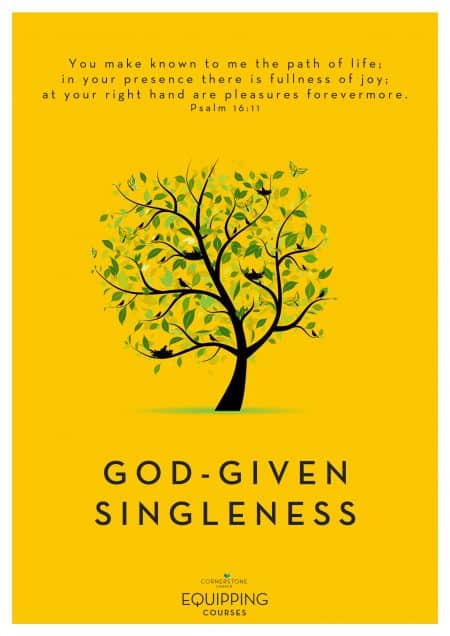 God given Singleness bookcover